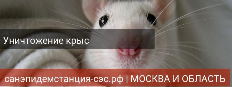 Уничтожение крыс в г.Наро-Фоминск
